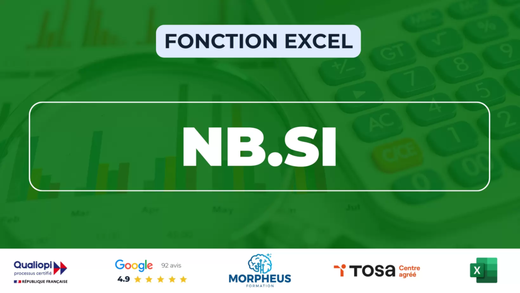 Fonction NB.SI Excel